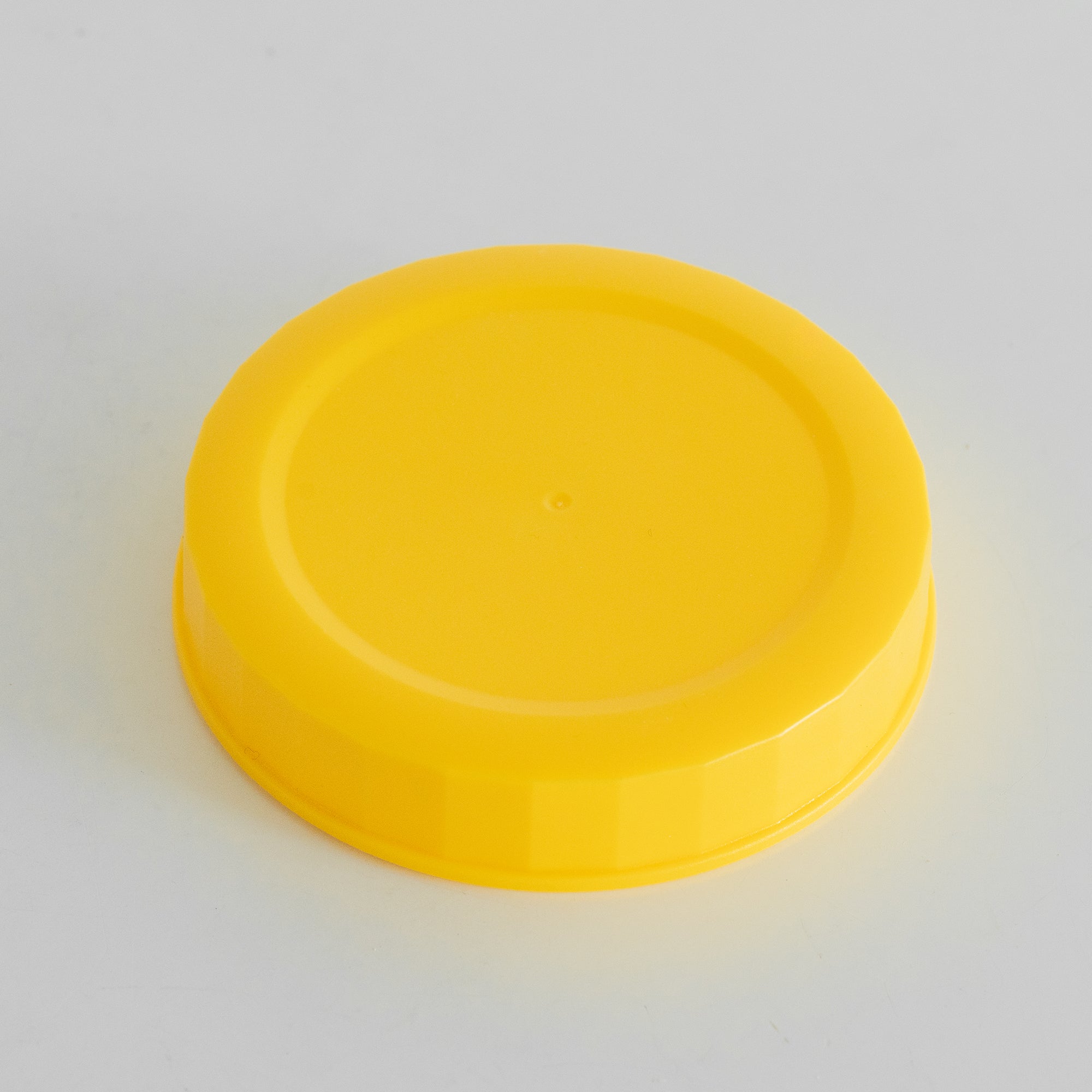 Glass Flip-Over Pickle Jar (2.5 Cups)