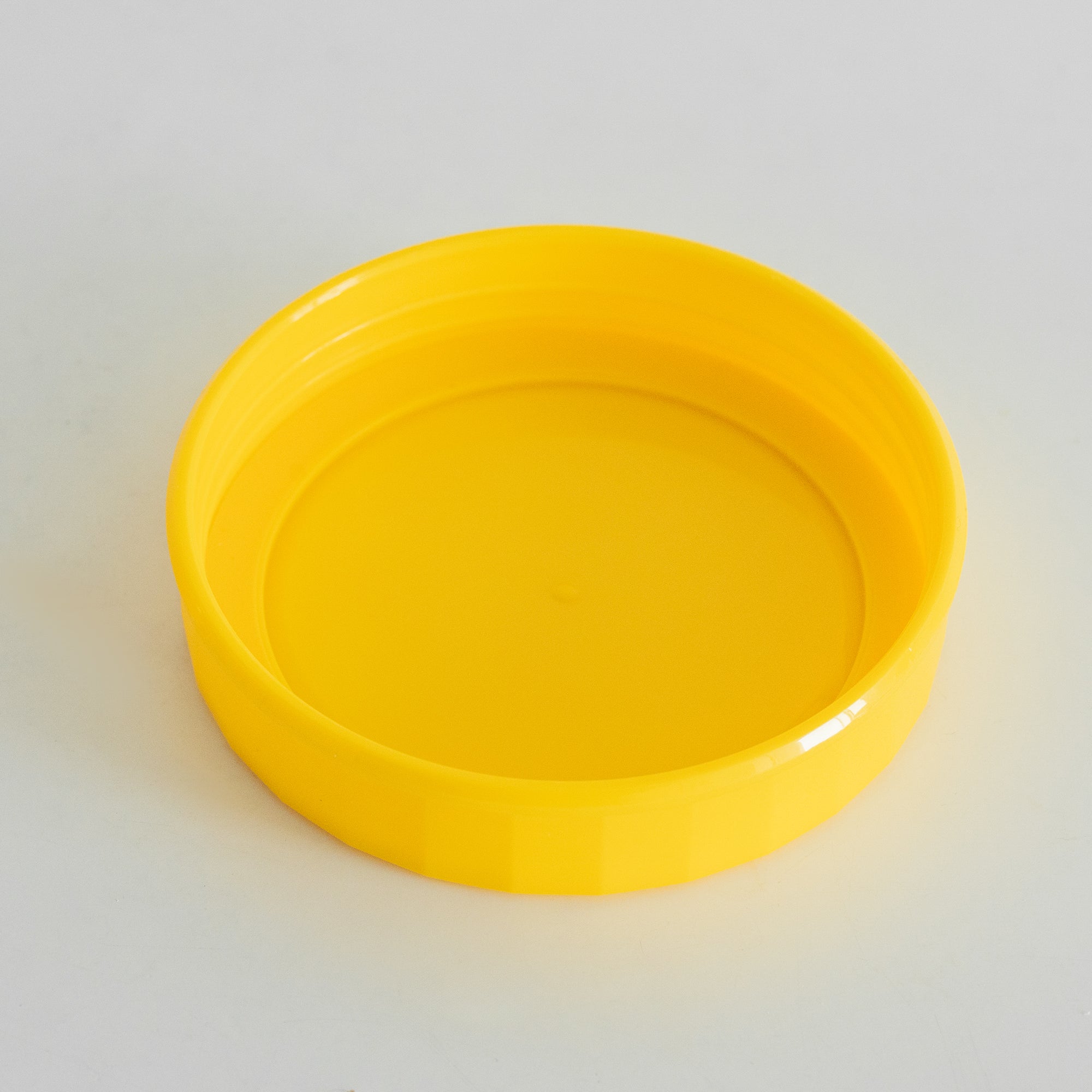 Glass Flip-Over Pickle Jar (2.5 Cups)