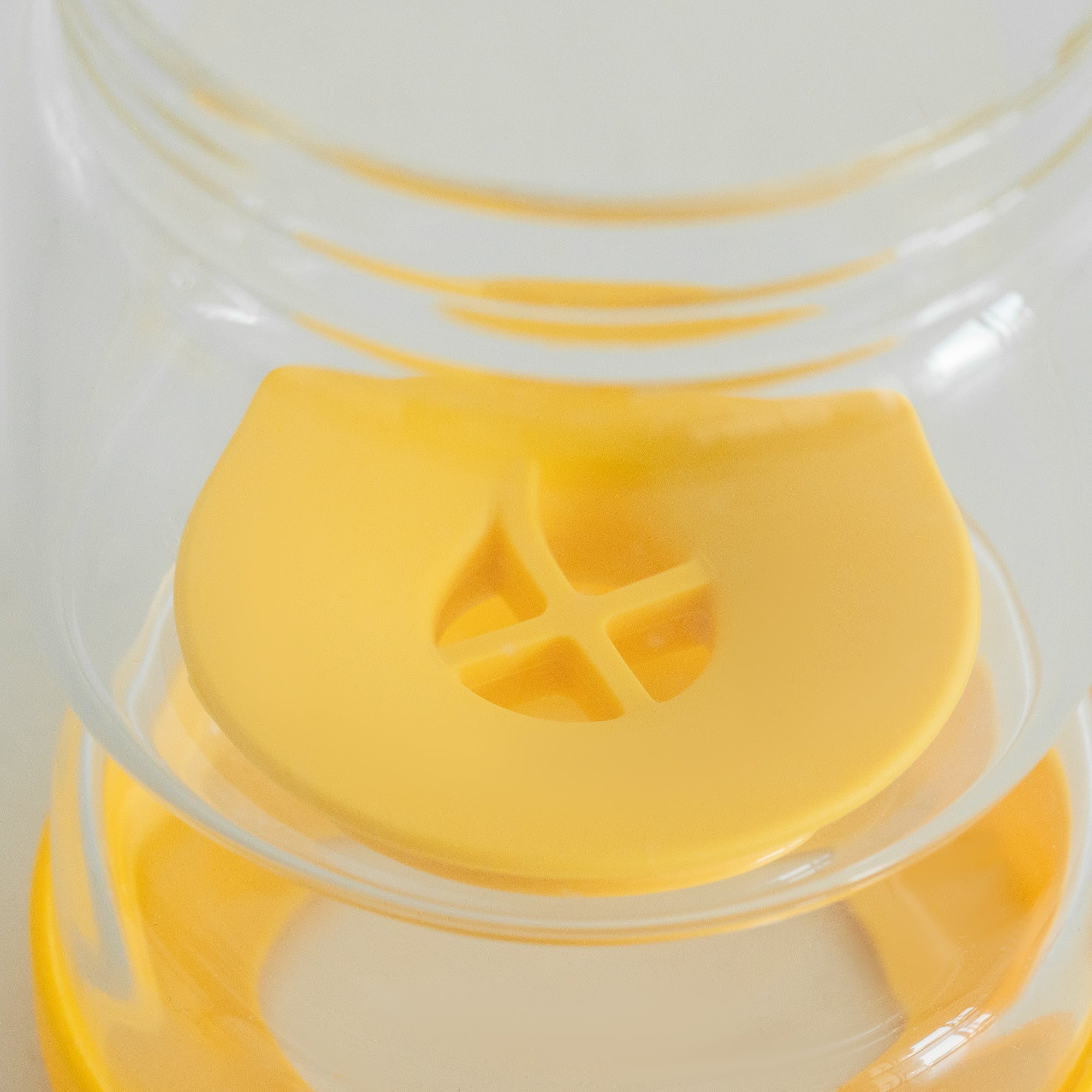 Glass Flip-Over Pickle Jar (2.5 Cups)
