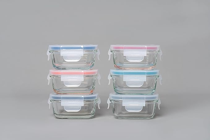 Genicook 12 Pc Rectangular Shape Borosilicate Glass Small Baby-Size Meal  and Food Storage Containers Set